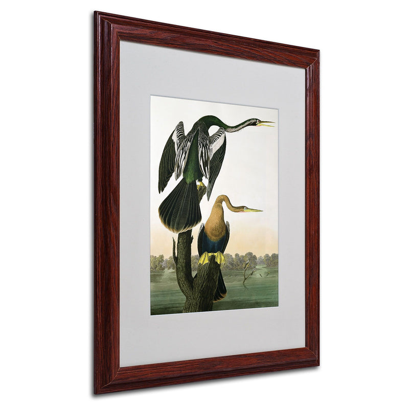 Trademark Fine Art 'Black-Billed Darter' 16" x 20" Wood Frame Art