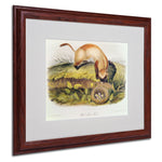 Trademark Fine Art 'Black-Footed Ferret' 16" x 20" Wood Frame Art