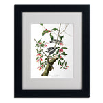 Trademark Fine Art 'Downy Woodpecker' 11" x 14" Black Frame Art