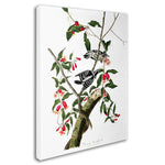Trademark Fine Art 'Downy Woodpecker' 14" x 19" Canvas Art