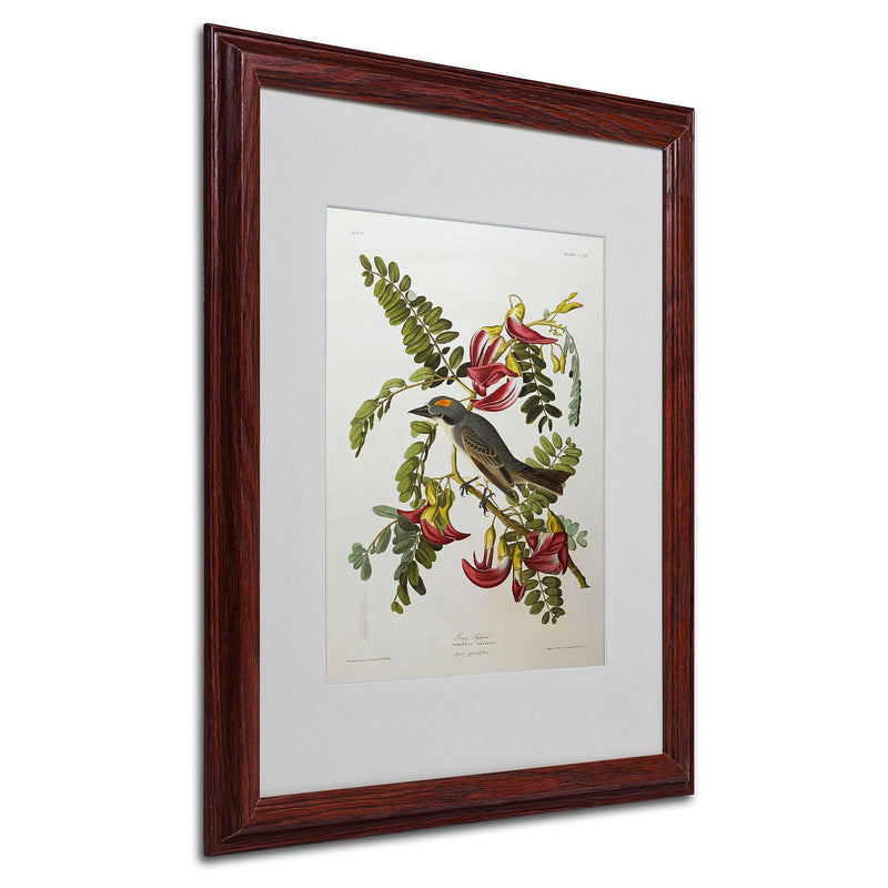 Trademark Fine Art 'Gray Tyrant #44; Gray Kingbird' 16" x 20" Wood Frame Art