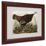 Trademark Fine Art 'Great American Hen and Young' 11" x 14" Wood Frame Art