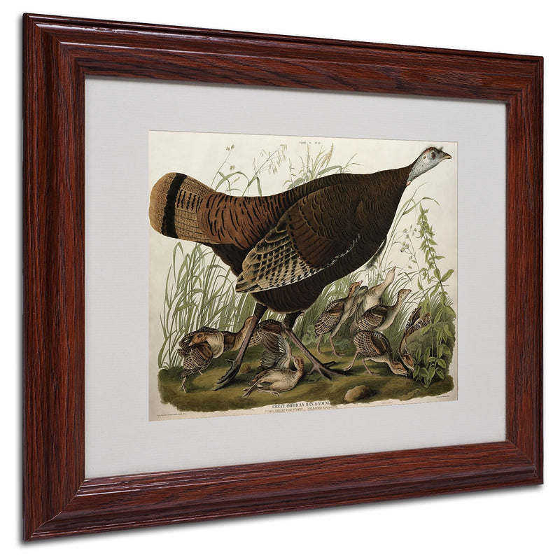 Trademark Fine Art 'Great American Hen and Young' 11" x 14" Wood Frame Art