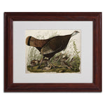 Trademark Fine Art 'Great American Hen and Young' 11" x 14" Wood Frame Art