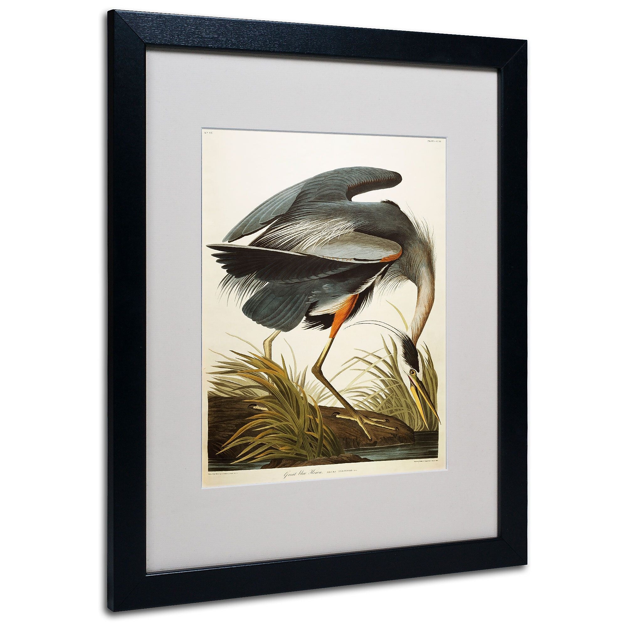Trademark Fine Art 'Great Blue Heron' 16" x 20" Black Frame Art
