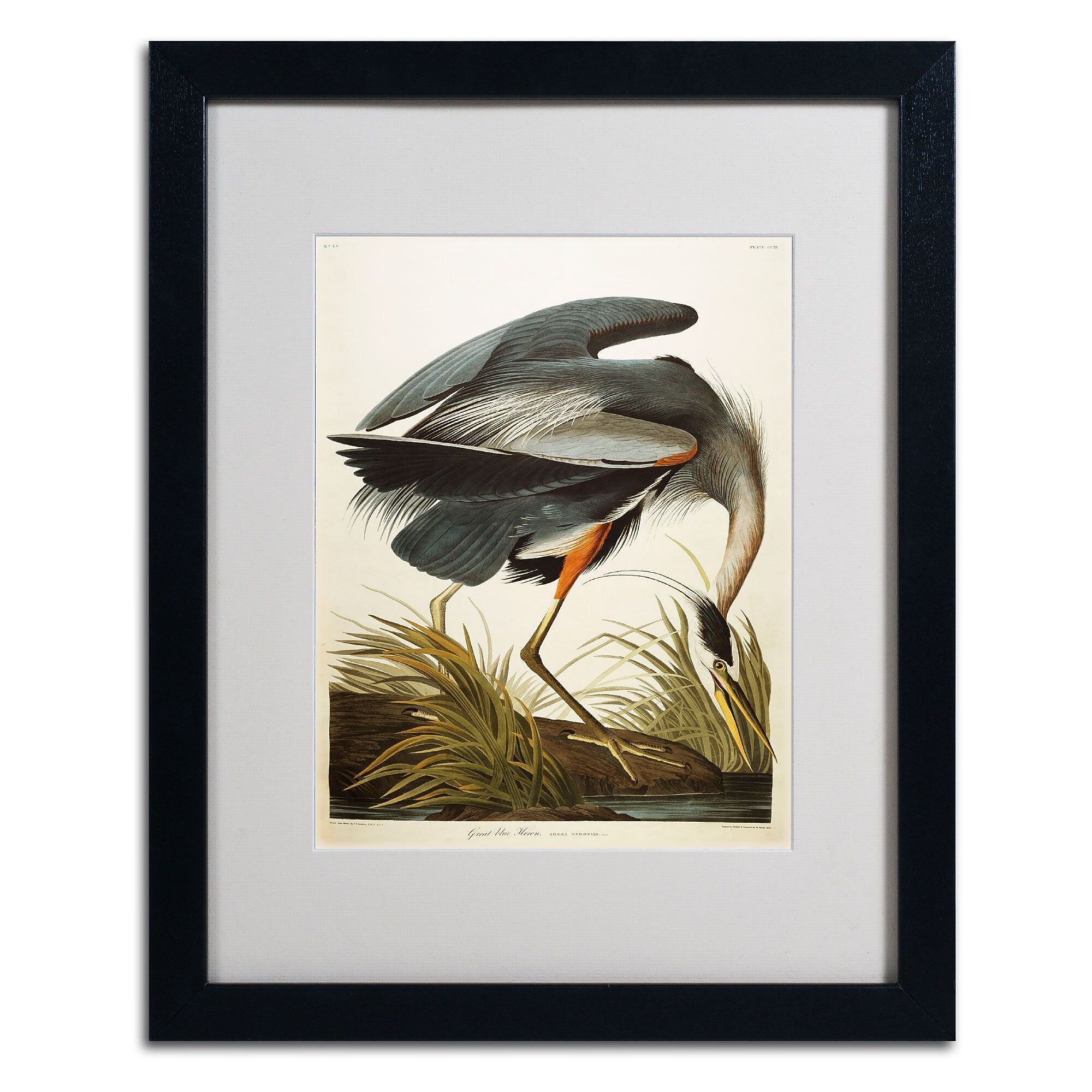 Trademark Fine Art 'Great Blue Heron' 16" x 20" Black Frame Art