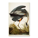 Trademark Fine Art 'Great Blue Heron' 22" x 32" Canvas Art