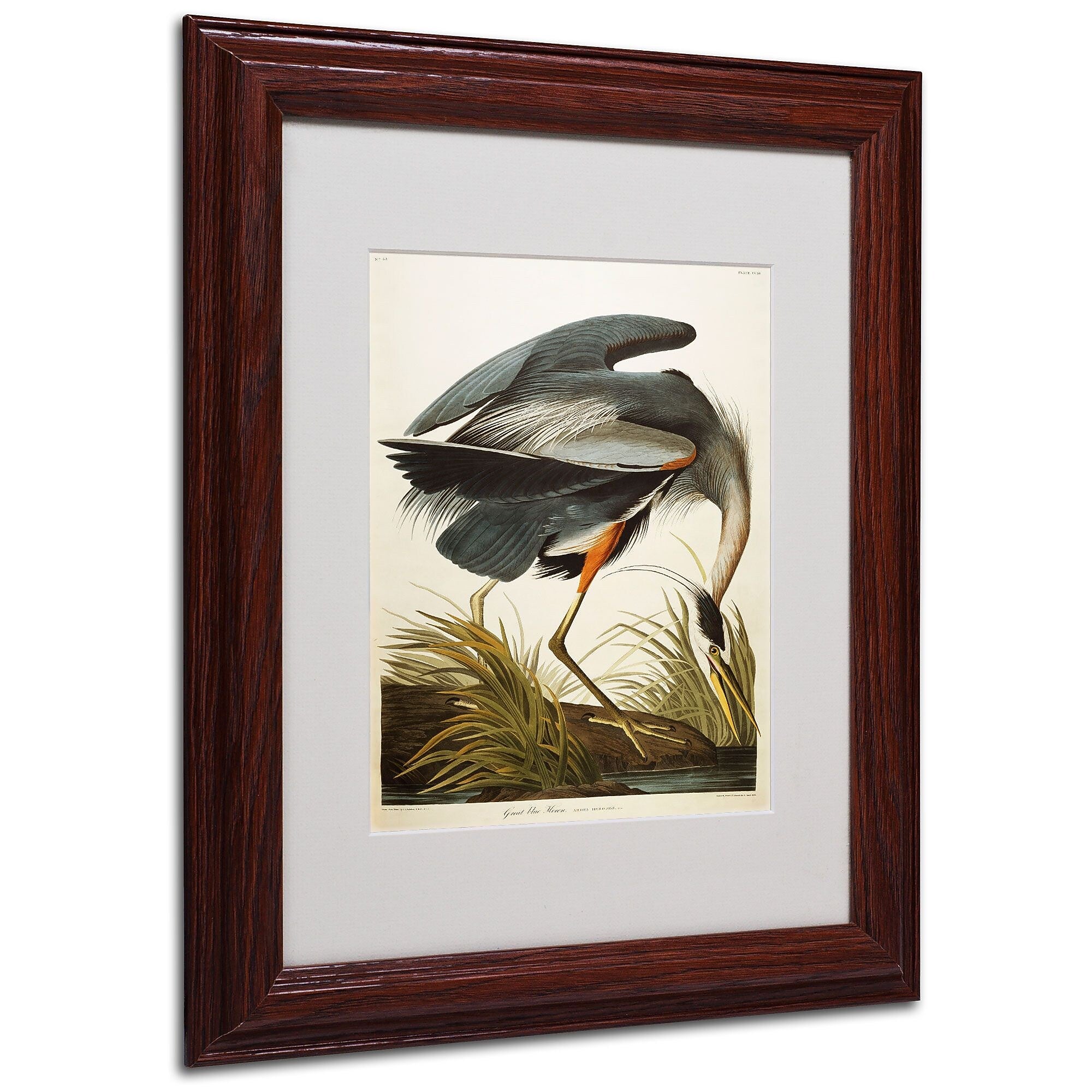 Trademark Fine Art 'Great Blue Heron' 11" x 14" Wood Frame Art