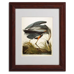 Trademark Fine Art 'Great Blue Heron' 11" x 14" Wood Frame Art