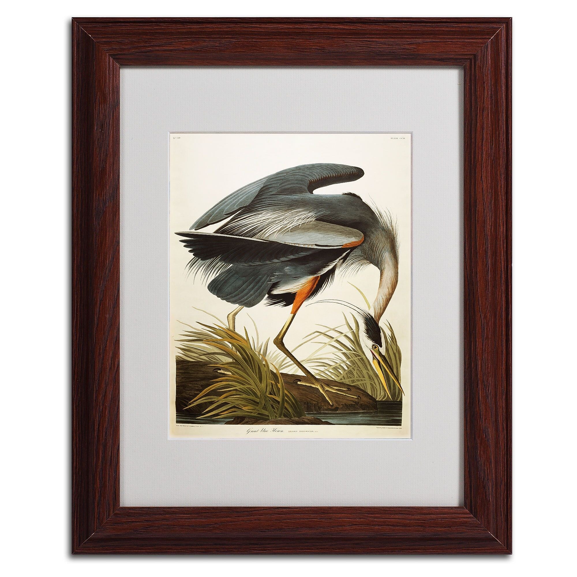 Trademark Fine Art 'Great Blue Heron' 11" x 14" Wood Frame Art