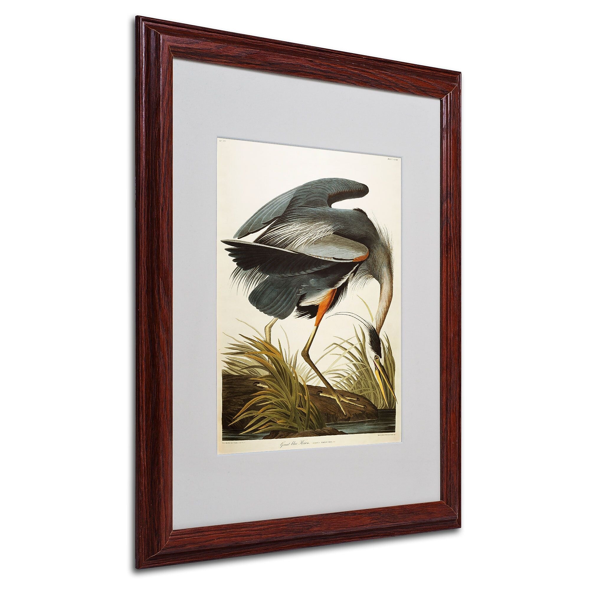Trademark Fine Art 'Great Blue Heron' 16" x 20" Wood Frame Art