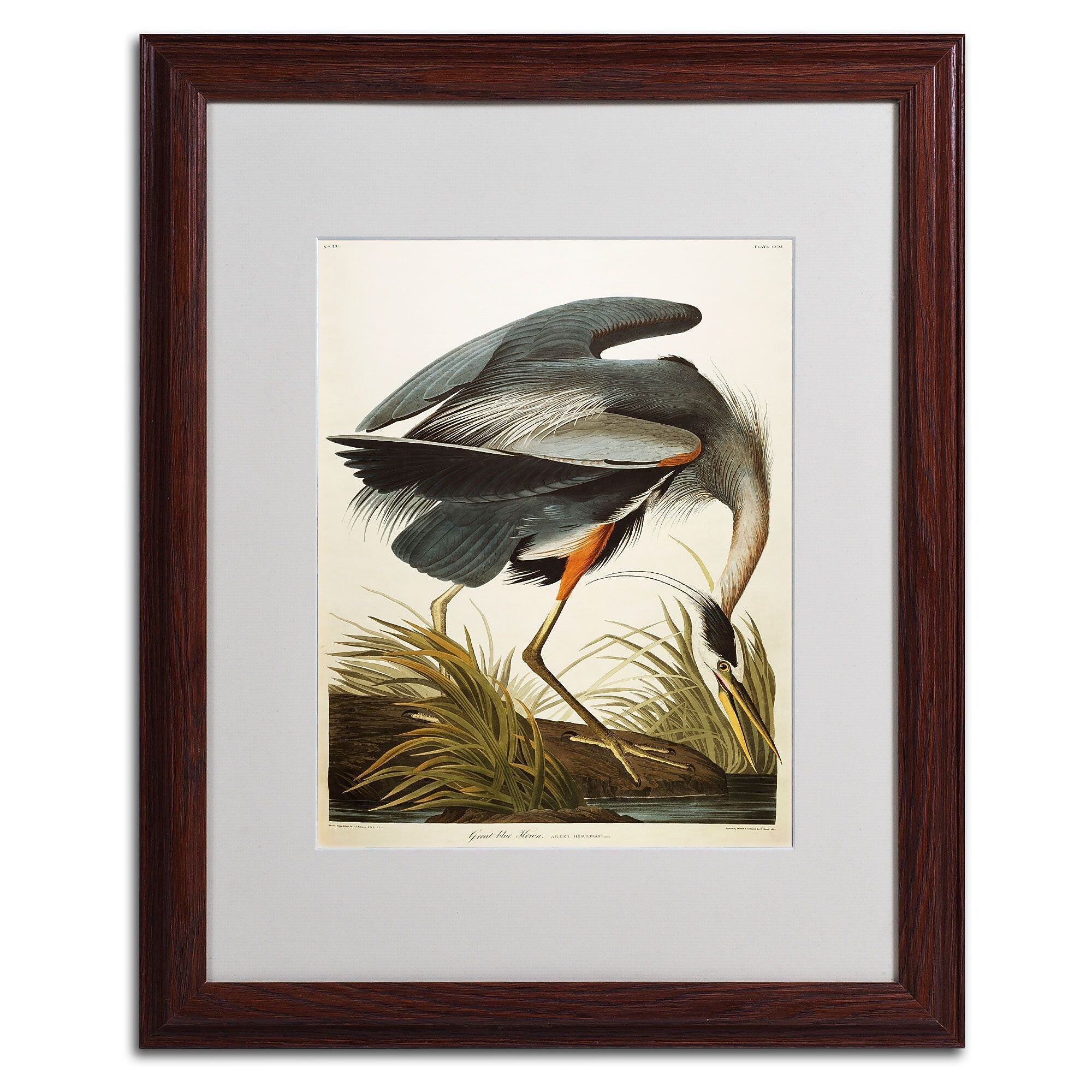 Trademark Fine Art 'Great Blue Heron' 16" x 20" Wood Frame Art
