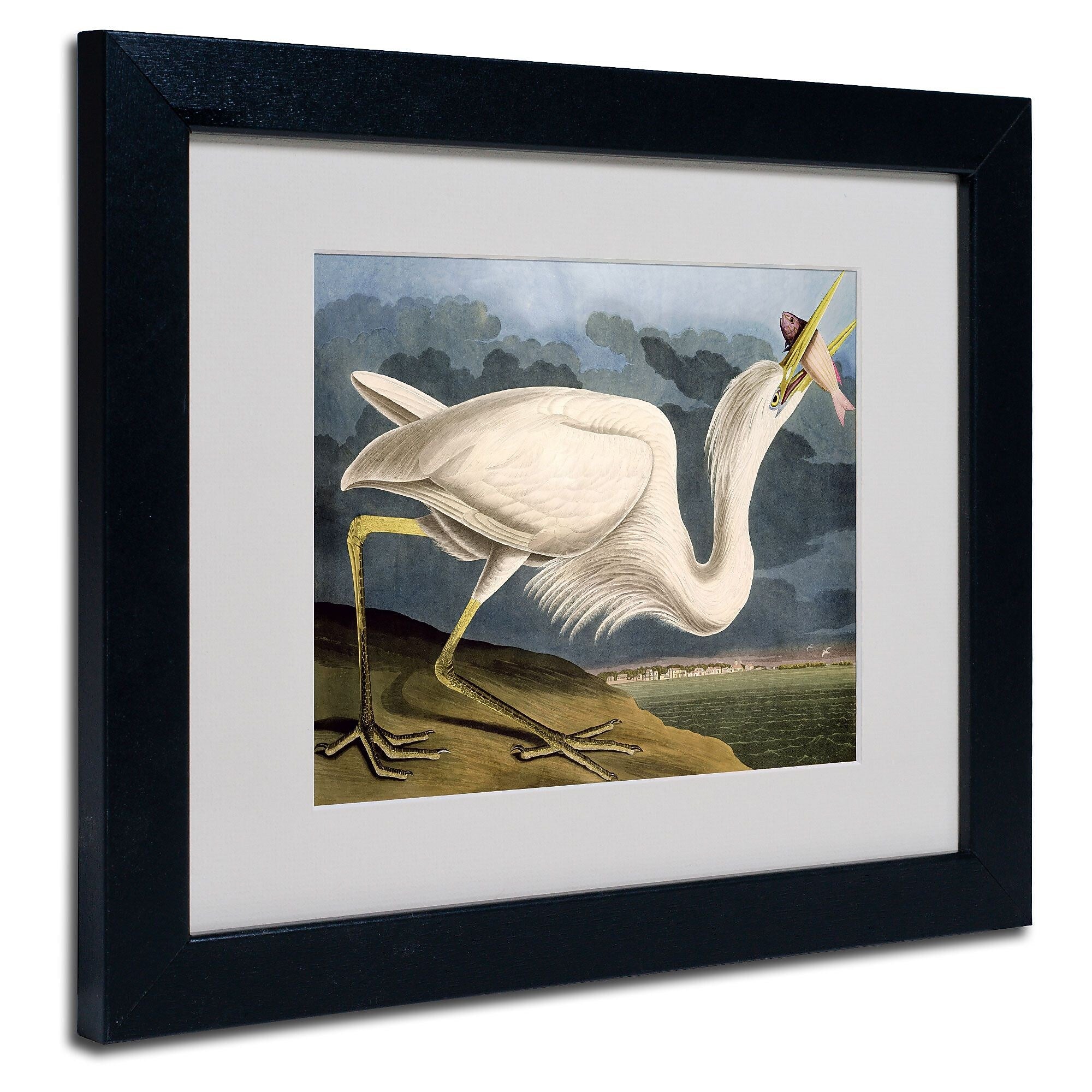 Trademark Fine Art 'Great White Heron' 11" x 14" Black Frame Art