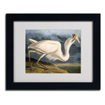 Trademark Fine Art 'Great White Heron' 11" x 14" Black Frame Art