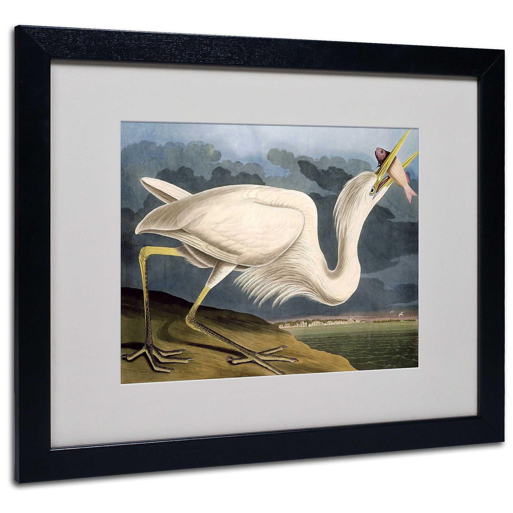 Trademark Fine Art 'Great White Heron' 16" x 20" Black Frame Art