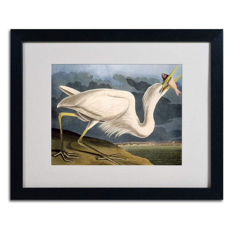 Trademark Fine Art 'Great White Heron' 16" x 20" Black Frame Art
