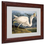 Trademark Fine Art 'Great White Heron' 11" x 14" Wood Frame Art