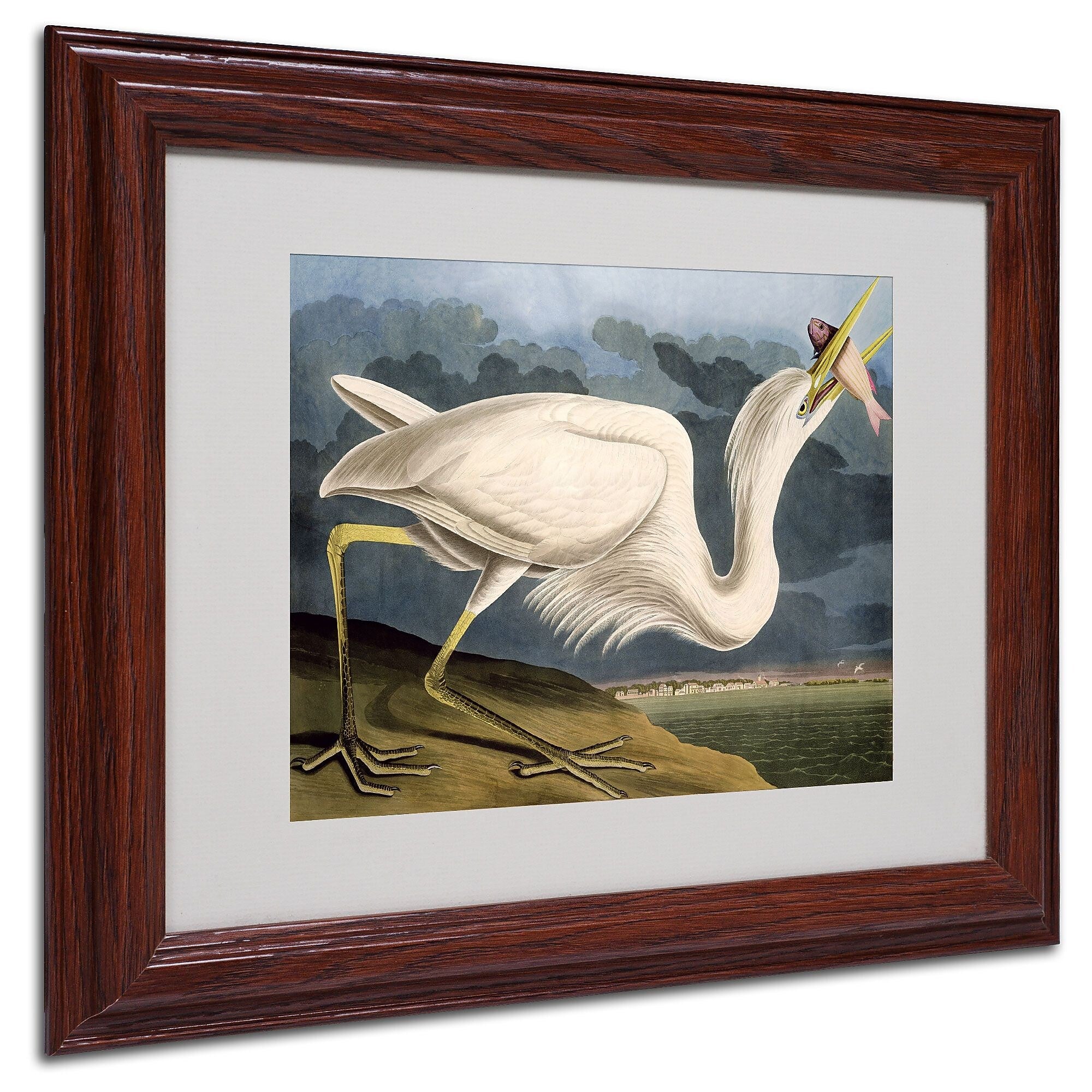 Trademark Fine Art 'Great White Heron' 11" x 14" Wood Frame Art