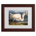 Trademark Fine Art 'Great White Heron' 11" x 14" Wood Frame Art
