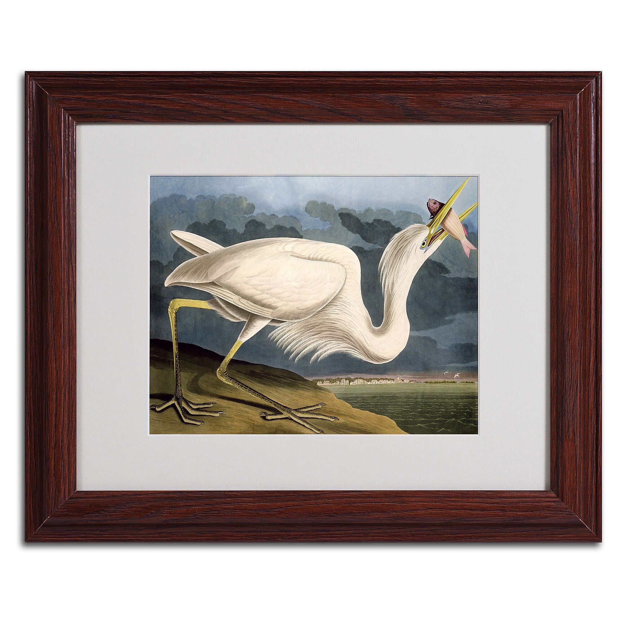 Trademark Fine Art 'Great White Heron' 11" x 14" Wood Frame Art