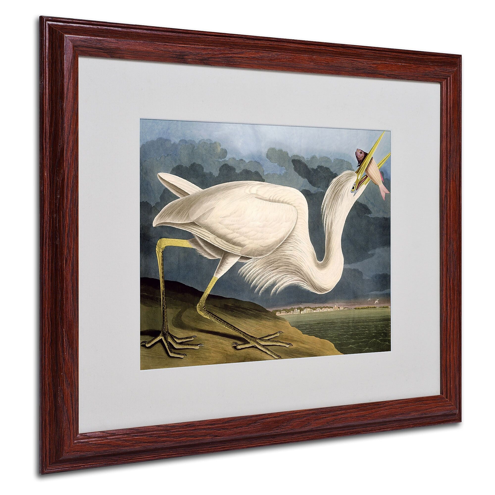 Trademark Fine Art 'Great White Heron' 16" x 20" Wood Frame Art