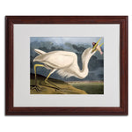 Trademark Fine Art 'Great White Heron' 16" x 20" Wood Frame Art