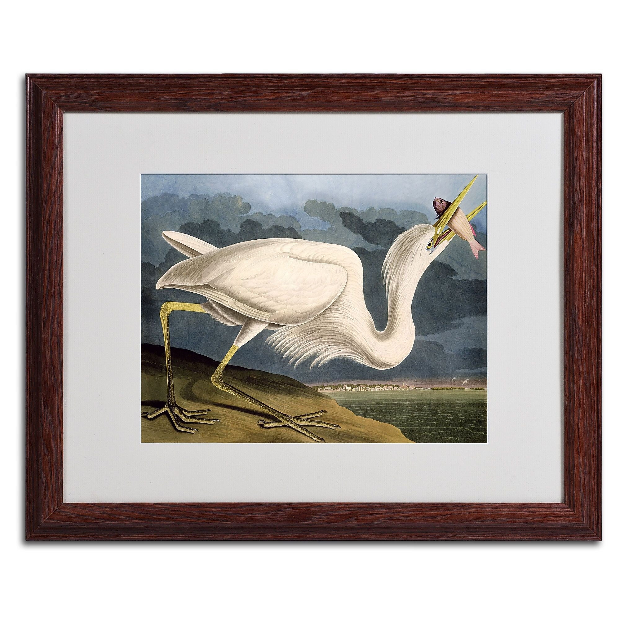 Trademark Fine Art 'Great White Heron' 16" x 20" Wood Frame Art