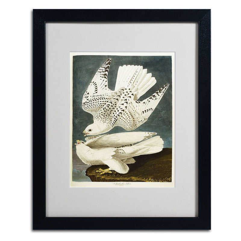 Trademark Fine Art 'Iceland or Jer Falcon' 16" x 20" Black Frame Art