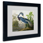 Trademark Fine Art 'Louisiana Heron' 11" x 14" Black Frame Art