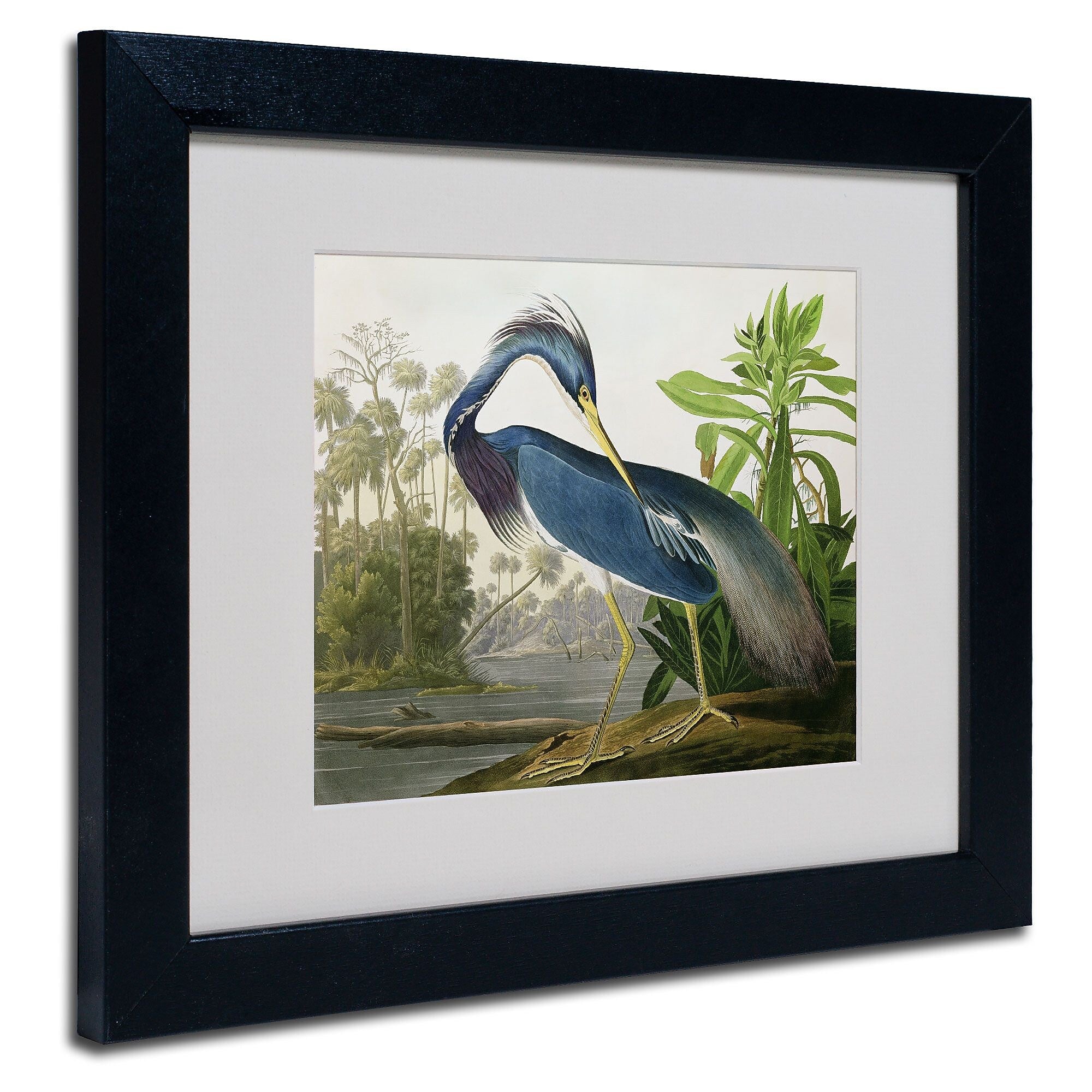 Trademark Fine Art 'Louisiana Heron' 11" x 14" Black Frame Art