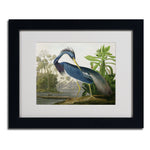 Trademark Fine Art 'Louisiana Heron' 11" x 14" Black Frame Art