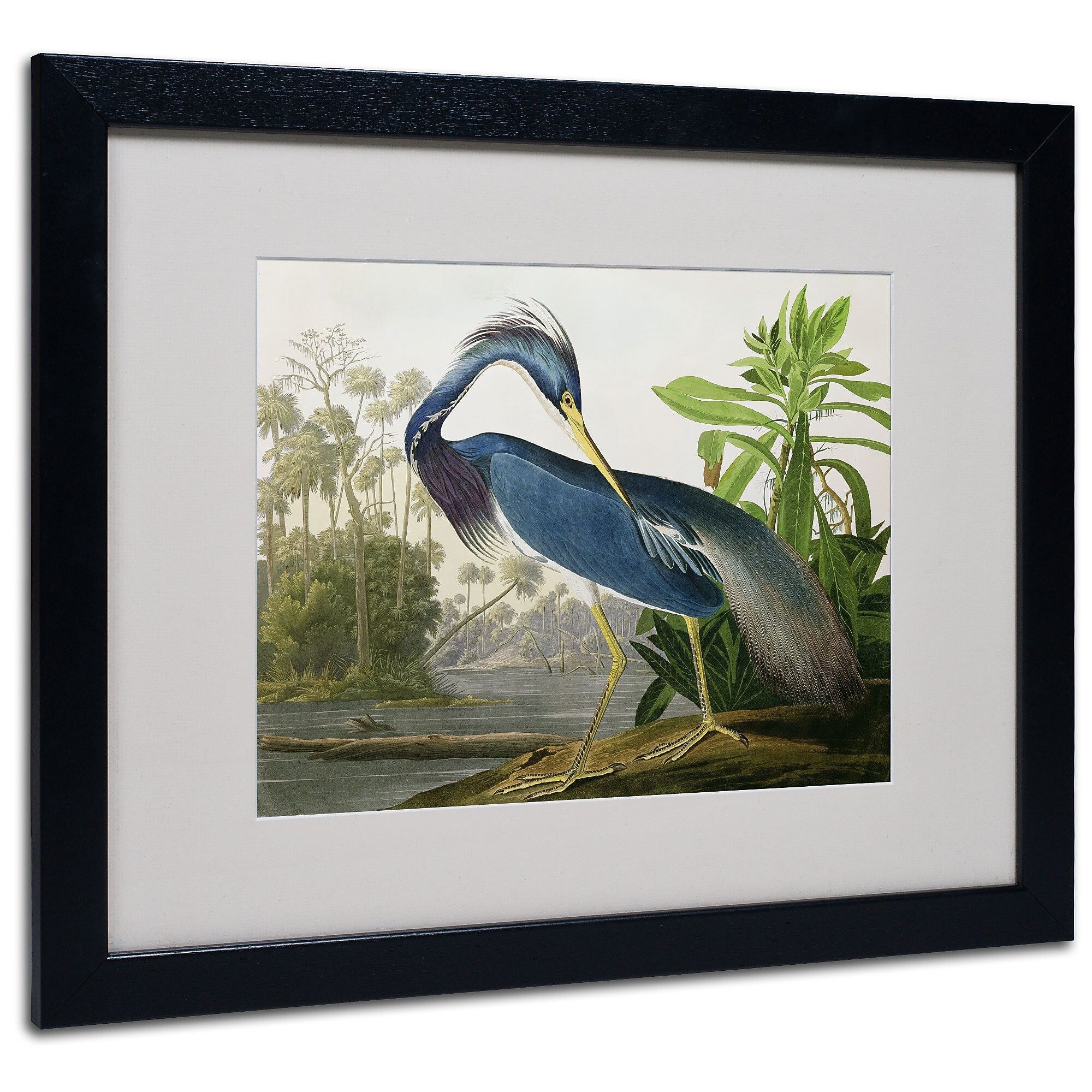 Trademark Fine Art 'Louisiana Heron' 16" x 20" Black Frame Art