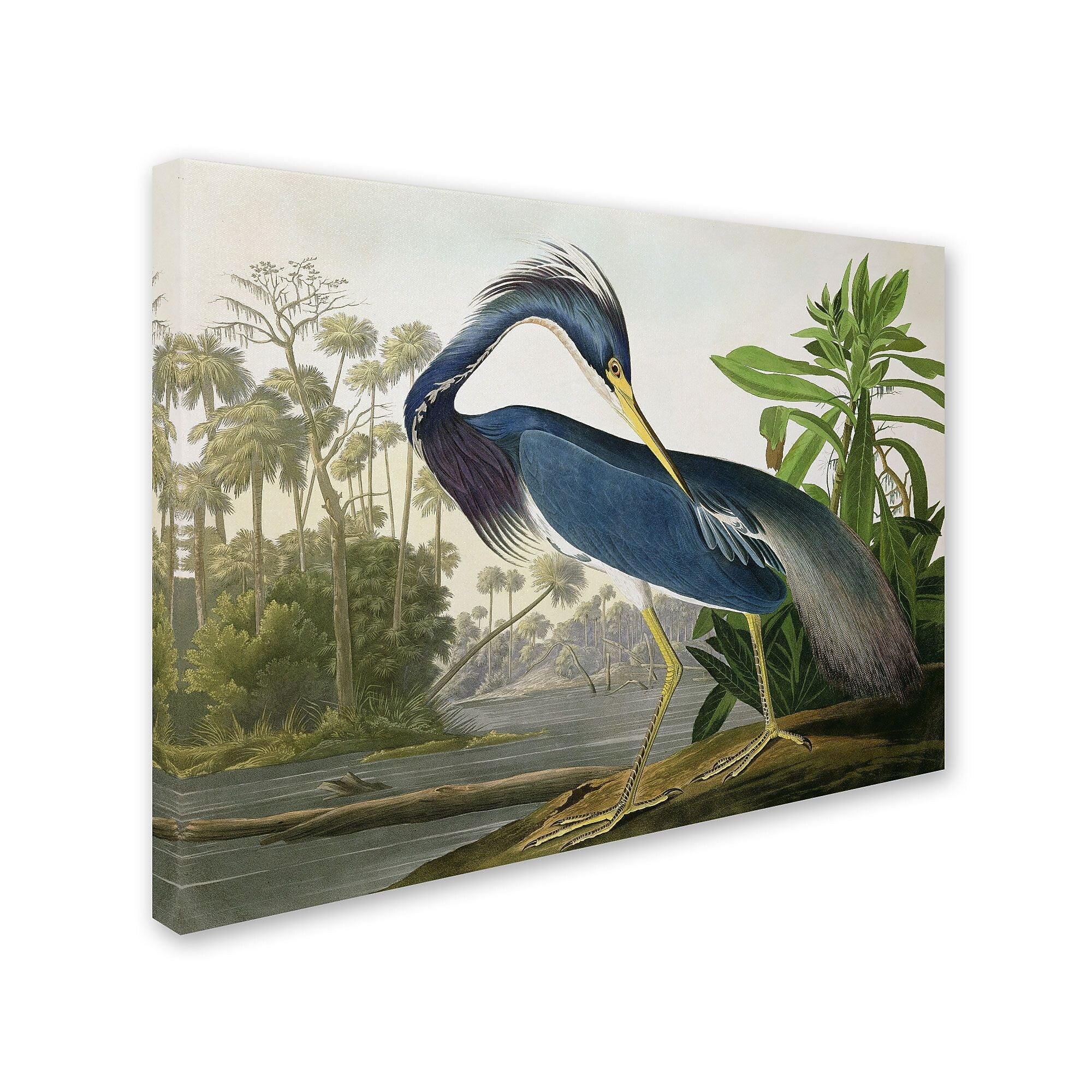 Trademark Fine Art 'Louisiana Heron' 26" x 32" Canvas Art