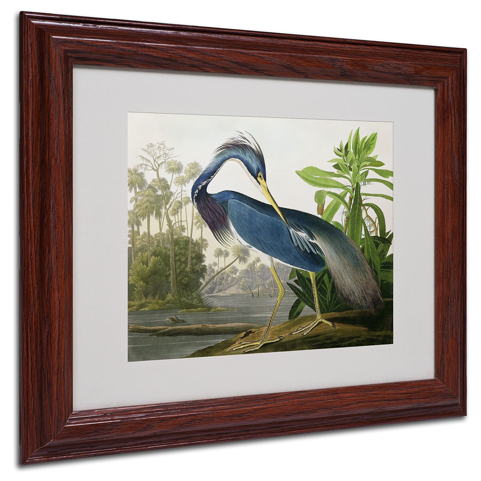 Trademark Fine Art 'Louisiana Heron' 11" x 14" Wood Frame Art