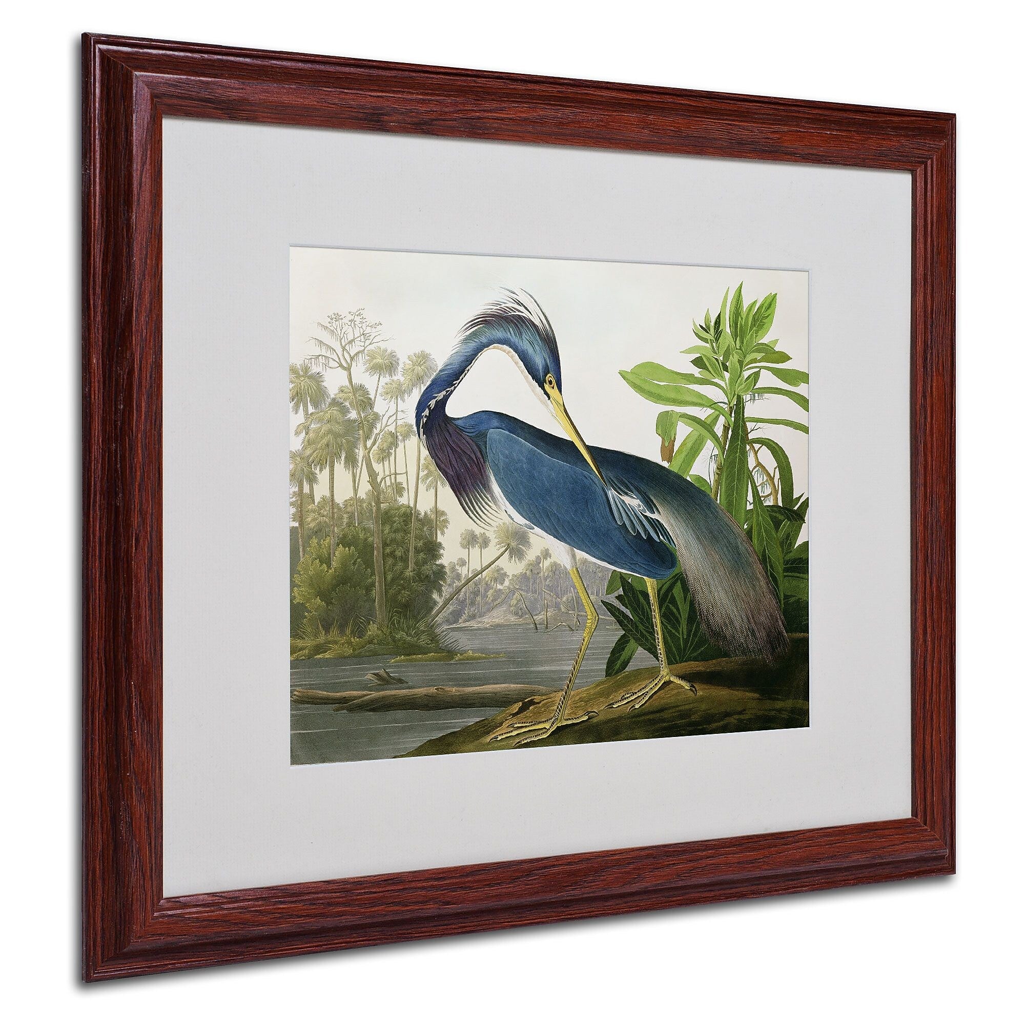 Trademark Fine Art 'Louisiana Heron' 16" x 20" Wood Frame Art