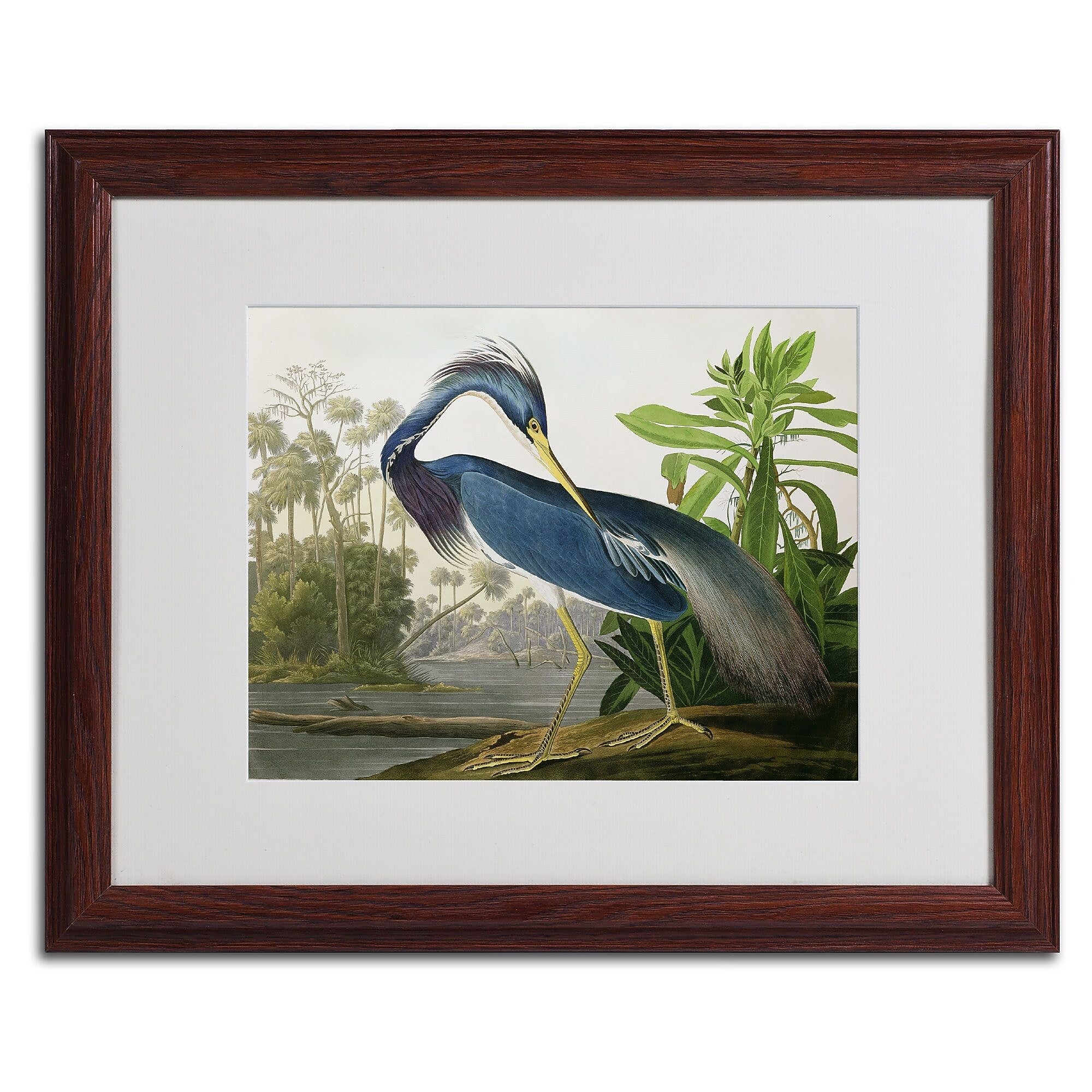 Trademark Fine Art 'Louisiana Heron' 16" x 20" Wood Frame Art