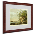 Trademark Fine Art 'Long Billed Curlew' 16" x 20" Wood Frame Art
