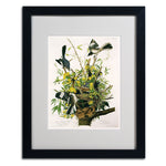 Trademark Fine Art 'Mocking Birds and Snake II' 16" x 20" Black Frame Art