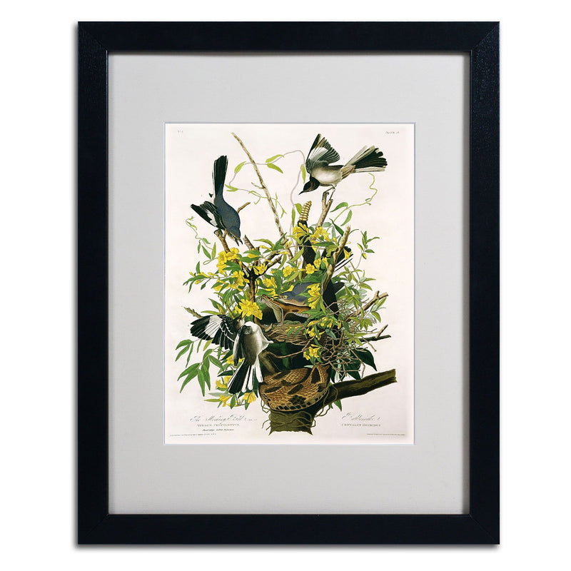 Trademark Fine Art 'Mocking Birds and Snake II' 16" x 20" Black Frame Art