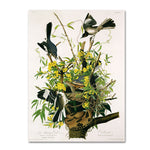 Trademark Fine Art 'Mocking Birds and Snake II' 35" x 47" Canvas Art