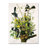 Trademark Fine Art 'Mocking Birds and Snake II' 18" x 24" Canvas Art