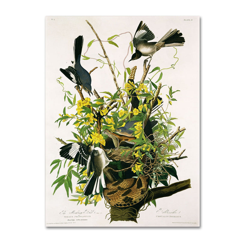 Trademark Fine Art 'Mocking Birds and Snake II' 18" x 24" Canvas Art