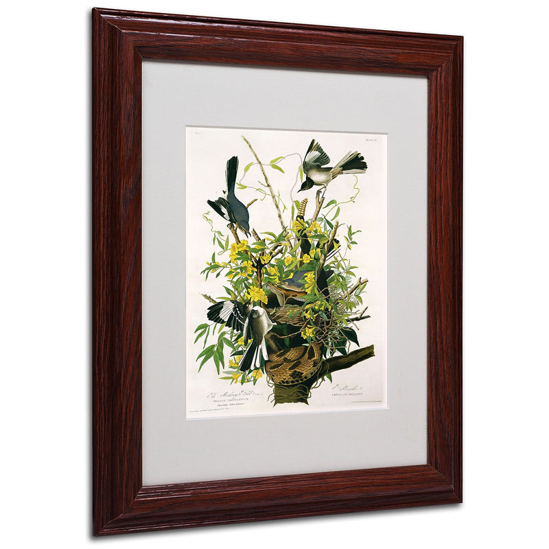 Trademark Fine Art 'Mocking Birds and Snake II' 11" x 14" Wood Frame Art