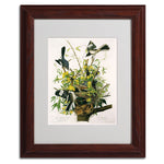Trademark Fine Art 'Mocking Birds and Snake II' 11" x 14" Wood Frame Art