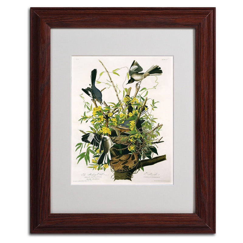 Trademark Fine Art 'Mocking Birds and Snake II' 11" x 14" Wood Frame Art