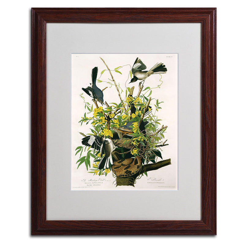 Trademark Fine Art 'Mocking Birds and Snake II' 16" x 20" Wood Frame Art