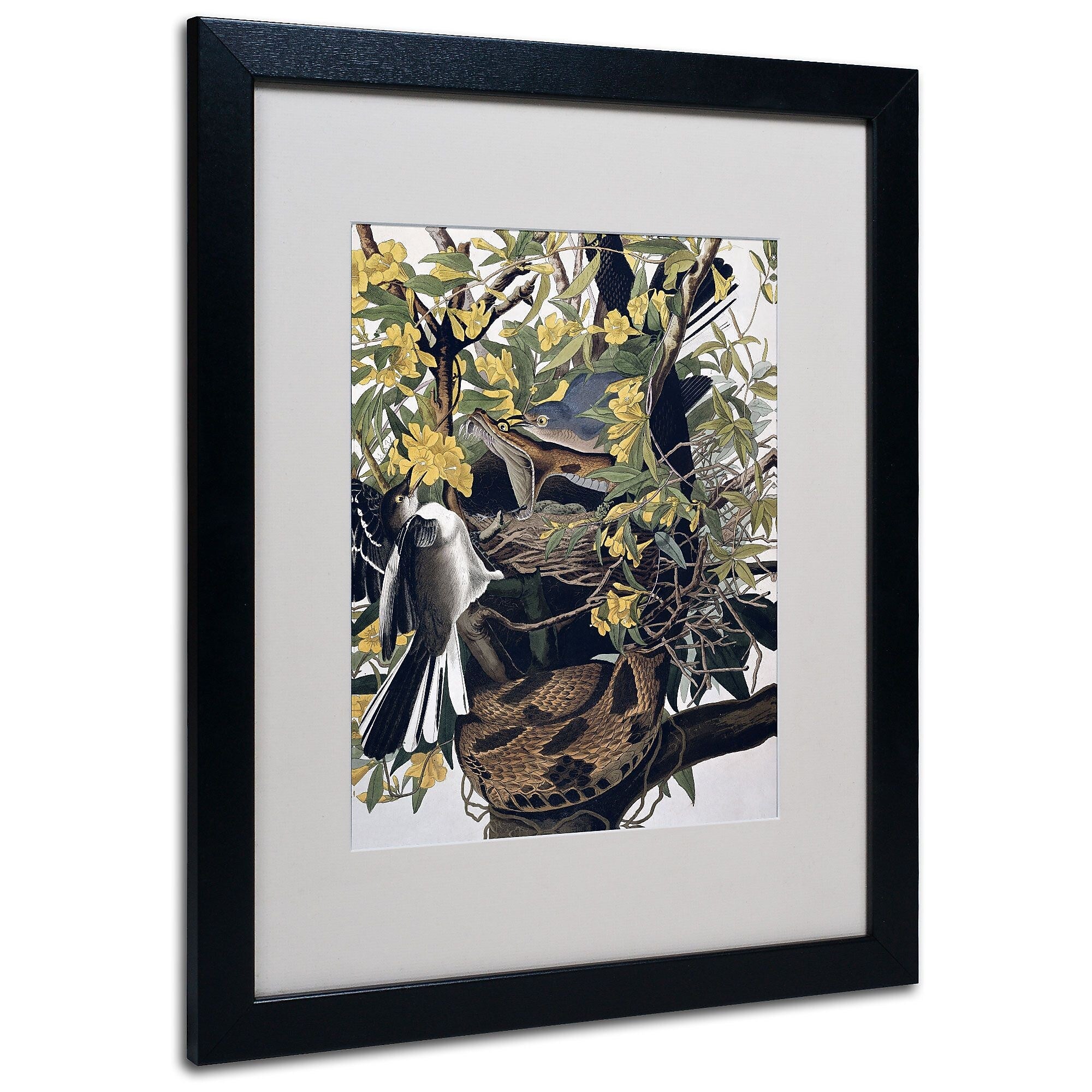 Trademark Fine Art 'Mocking Birds and Snake' 16" x 20" Black Frame Art