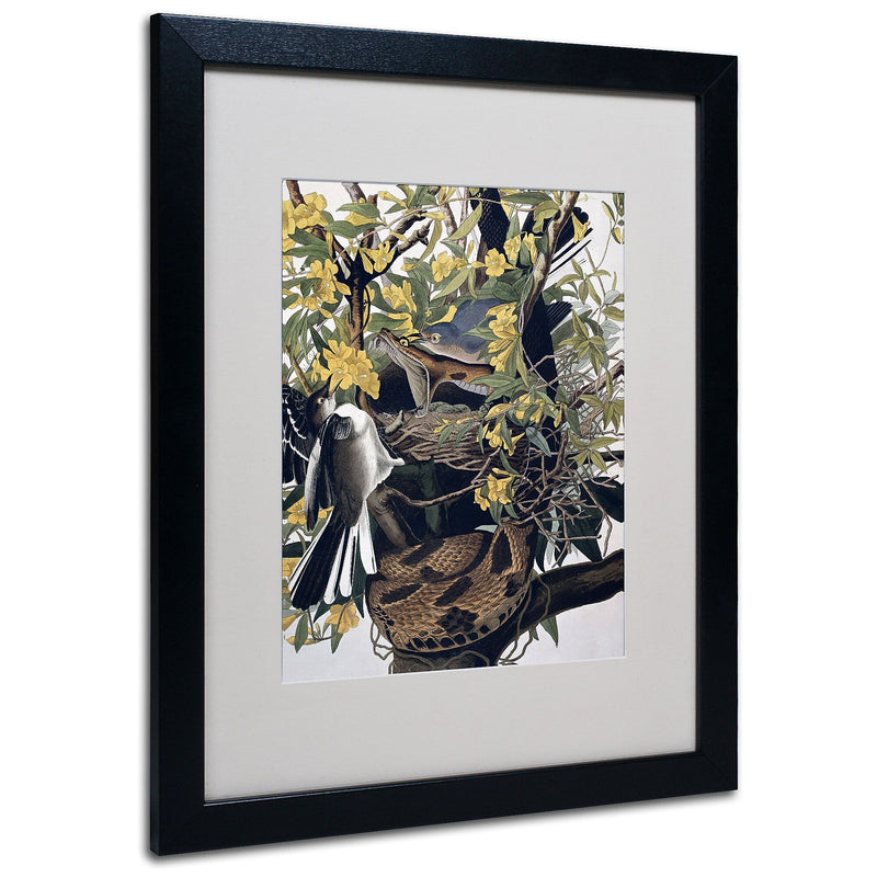 Trademark Fine Art 'Mocking Birds and Snake' 16" x 20" Black Frame Art