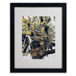 Trademark Fine Art 'Mocking Birds and Snake' 16" x 20" Black Frame Art