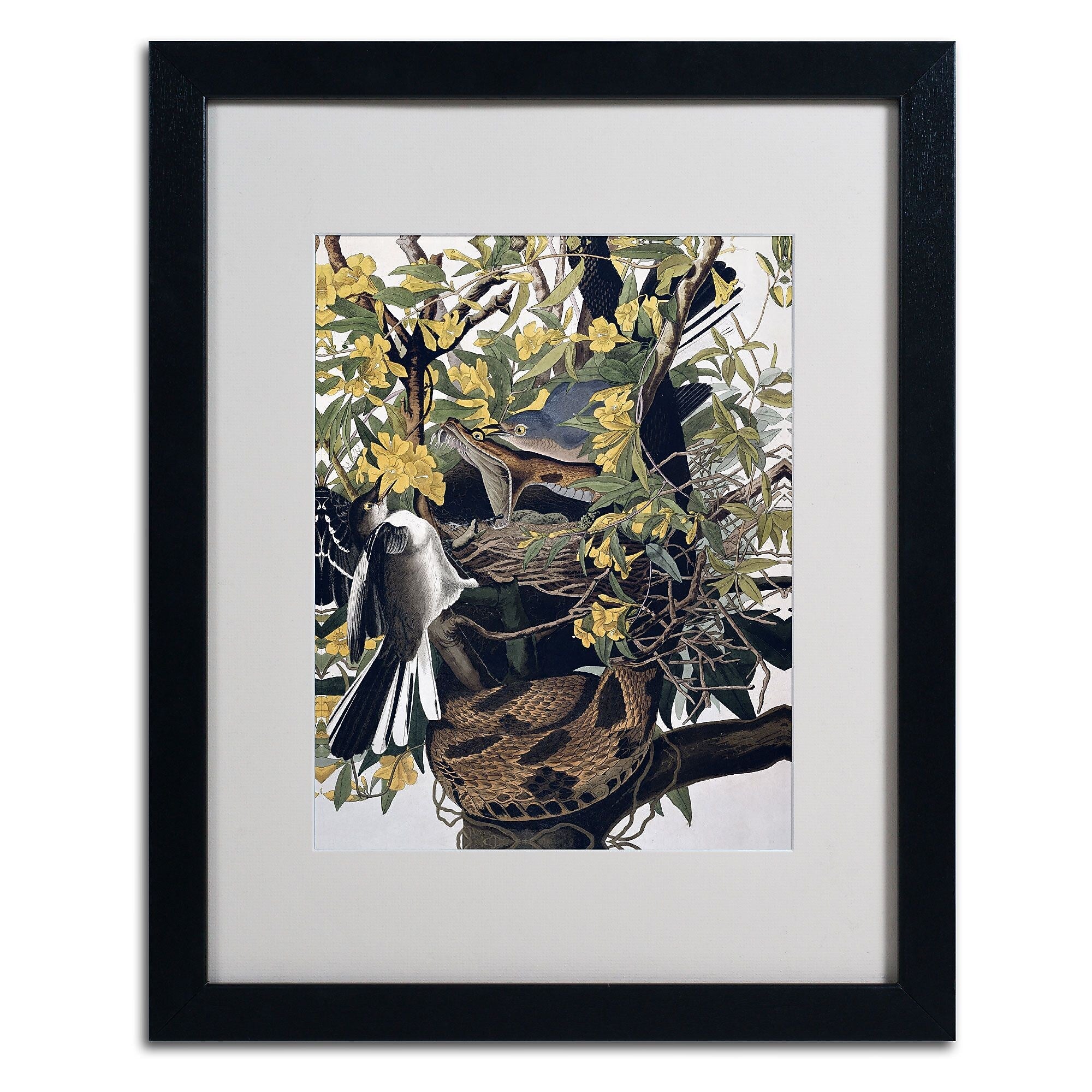 Trademark Fine Art 'Mocking Birds and Snake' 16" x 20" Black Frame Art